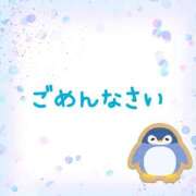 ヒメ日記 2025/04/15 15:05 投稿 ひとみ セクシーキャット 神田店