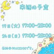 ヒメ日記 2025/08/16 23:30 投稿 ひとみ セクシーキャット 神田店