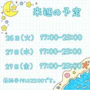 ヒメ日記 2025/08/24 23:30 投稿 ひとみ セクシーキャット 神田店