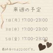 ヒメ日記 2025/08/29 23:30 投稿 ひとみ セクシーキャット 神田店