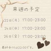 ヒメ日記 2025/09/19 23:30 投稿 ひとみ セクシーキャット 神田店