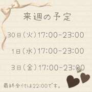 ヒメ日記 2025/09/27 00:13 投稿 ひとみ セクシーキャット 神田店