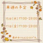 ヒメ日記 2025/10/10 23:30 投稿 ひとみ セクシーキャット 神田店