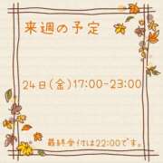 ヒメ日記 2025/10/17 23:30 投稿 ひとみ セクシーキャット 神田店