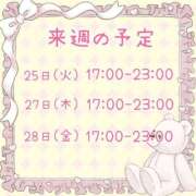 ヒメ日記 2025/11/21 23:30 投稿 ひとみ セクシーキャット 神田店