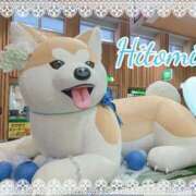 ヒメ日記 2026/01/13 23:30 投稿 ひとみ セクシーキャット 神田店