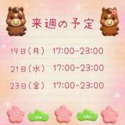 ヒメ日記 2026/01/16 23:30 投稿 ひとみ セクシーキャット 神田店