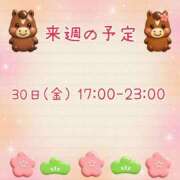 ヒメ日記 2026/01/23 23:30 投稿 ひとみ セクシーキャット 神田店