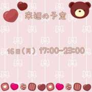 ヒメ日記 2026/02/13 23:30 投稿 ひとみ セクシーキャット 神田店