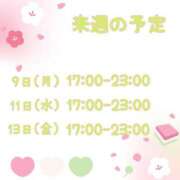 ひとみ 来週の予定 セクシーキャット 神田店
