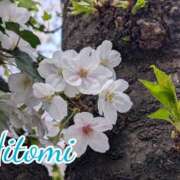 ヒメ日記 2026/03/31 23:31 投稿 ひとみ セクシーキャット 神田店