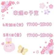 ヒメ日記 2026/04/25 19:17 投稿 ひとみ セクシーキャット 神田店