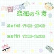 ヒメ日記 2026/05/09 00:46 投稿 ひとみ セクシーキャット 神田店