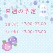 ひとみ 来週の予定 セクシーキャット 神田店