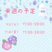 ひとみ 来週の予定 セクシーキャット 神田店