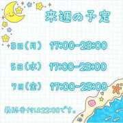 ヒメ日記 2026/07/31 23:58 投稿 ひとみ セクシーキャット 神田店