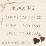 ヒメ日記 2026/09/25 23:30 投稿 ひとみ セクシーキャット 神田店