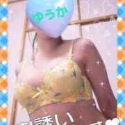 ヒメ日記 2025/02/17 12:57 投稿 ゆうか シャングリラ 呉〜桃源郷〜