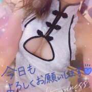 ヒメ日記 2025/03/14 13:16 投稿 ゆうか シャングリラ 呉〜桃源郷〜