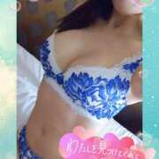 ヒメ日記 2025/03/15 04:02 投稿 ゆうか シャングリラ 呉〜桃源郷〜