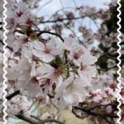 ヒメ日記 2025/03/30 14:09 投稿 森田ちか 扉の向こう側