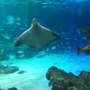 ヒメ日記 2025/04/03 12:13 投稿 森田ちか 扉の向こう側