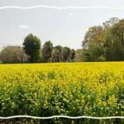 ヒメ日記 2025/05/02 22:08 投稿 森田ちか 扉の向こう側