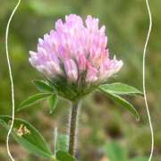 ヒメ日記 2025/09/28 10:47 投稿 森田ちか 扉の向こう側