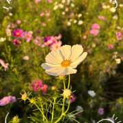 ヒメ日記 2025/10/18 09:47 投稿 森田ちか 扉の向こう側