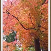 ヒメ日記 2025/11/06 16:32 投稿 森田ちか 扉の向こう側