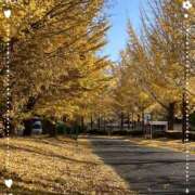 ヒメ日記 2025/12/01 17:02 投稿 森田ちか 扉の向こう側