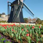 ヒメ日記 2026/01/31 11:12 投稿 森田ちか 扉の向こう側