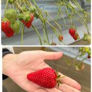 森田ちか Fwd: 大好き😍 扉の向こう側