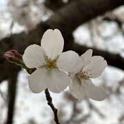 ヒメ日記 2026/03/29 10:43 投稿 森田ちか 扉の向こう側