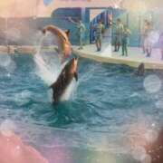 ヒメ日記 2025/09/29 15:18 投稿 まゆ 千葉松戸ちゃんこ