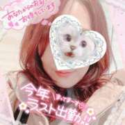 ヒメ日記 2024/12/30 09:13 投稿 桜田ねね 横浜プロダクション