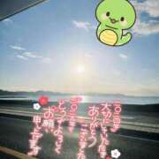 ヒメ日記 2025/01/04 21:15 投稿 桜田ねね 横浜プロダクション