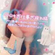 ヒメ日記 2025/01/24 11:47 投稿 桜田ねね 横浜プロダクション