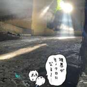 ヒメ日記 2025/01/25 10:45 投稿 桜田ねね 横浜プロダクション