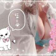 ヒメ日記 2025/04/19 09:33 投稿 桜田ねね 横浜プロダクション