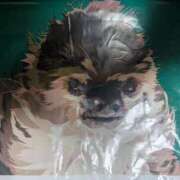 ヒメ日記 2025/03/18 14:24 投稿 さな✖1【モデル系美女】 やん姫SP