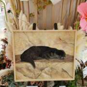 ヒメ日記 2025/03/21 11:06 投稿 さな✖1【モデル系美女】 やん姫SP