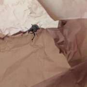 ヒメ日記 2025/07/11 15:50 投稿 さな✖1【モデル系美女】 やん姫SP