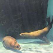 ヒメ日記 2025/07/24 13:27 投稿 さな✖1【モデル系美女】 やん姫SP