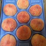 ヒメ日記 2025/08/04 16:10 投稿 さな✖1【モデル系美女】 やん姫SP