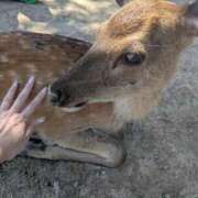 ヒメ日記 2025/08/27 15:49 投稿 さな✖1【モデル系美女】 やん姫SP