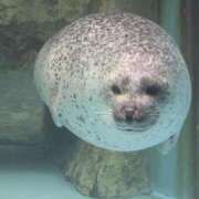 ヒメ日記 2025/09/11 17:54 投稿 さな✖1【モデル系美女】 やん姫SP