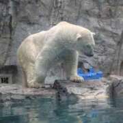 ヒメ日記 2025/09/12 20:09 投稿 さな✖1【モデル系美女】 やん姫SP