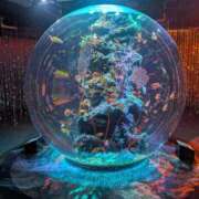 ヒメ日記 2025/09/28 23:21 投稿 さな✖1【モデル系美女】 やん姫SP