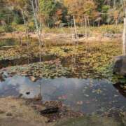 ヒメ日記 2025/11/26 13:22 投稿 さな✖1【モデル系美女】 やん姫SP